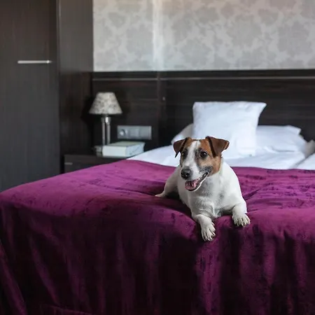 Hotel Racibor 3*